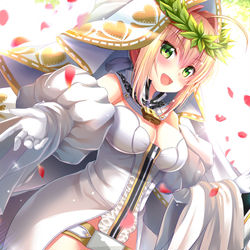 This is a pixiv picture whose title is ネロ・ブライド.
