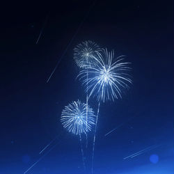 This is a pixiv picture whose title is アオヒバナ.