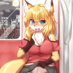 This is a pixiv picture whose title is 狐.