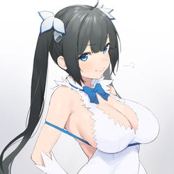 This is a pixiv picture whose title is ヘスティア.