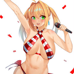 This is a pixiv picture whose title is ネロちゃま.