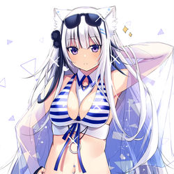 This is a pixiv picture whose title is 白髪けもみみちゃん.