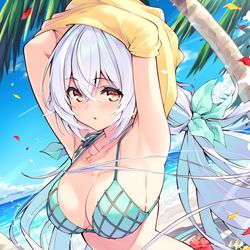 This is a pixiv picture whose title is 水着ラプアさん.