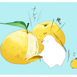 This is a pixiv picture whose title is 夏みかん.