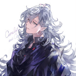 This is a pixiv picture whose title is マーリン.