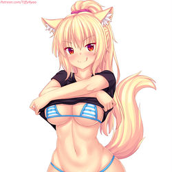 This is a pixiv picture whose title is notty shirt lift.