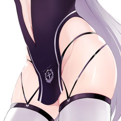 This is a pixiv picture whose title is 翔鶴.