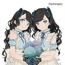 This is a pixiv picture whose title is Hydrangea.
