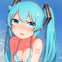 This is a pixiv picture whose title is 水着.