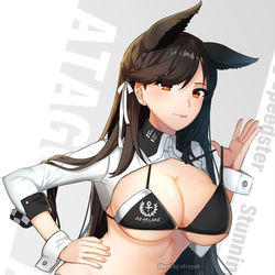 This is a pixiv picture whose title is 愛宕.
