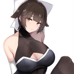 This is a pixiv picture whose title is 魅惑のフルドライブ.