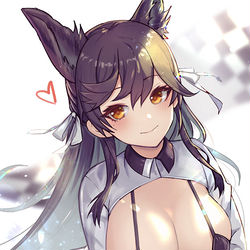 This is a pixiv picture whose title is レースクイーン愛宕.