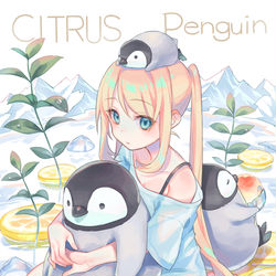 This is a pixiv picture whose title is シトラスペンギン.