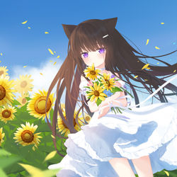 This is a pixiv picture whose title is 晴.