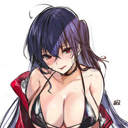 This is a pixiv picture whose title is 大鳳 rkgk.