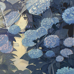 This is a pixiv picture whose title is 梅雨隠れの君.