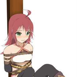 This is a pixiv picture whose title is Seles.
