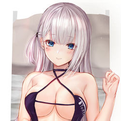 This is a pixiv picture whose title is 翔鶴.