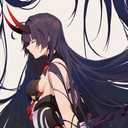 This is a pixiv picture whose title is 雷之律者.