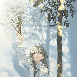 This is a pixiv picture whose title is Gypsophila.