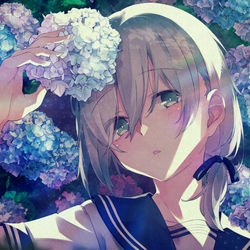 This is a pixiv picture whose title is ハイドランジア.
