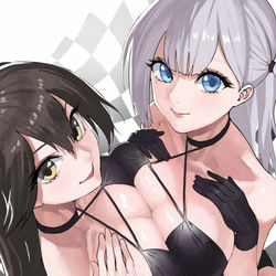 This is a pixiv picture whose title is 瑞鶴翔鶴.