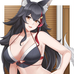 This is a pixiv picture whose title is Ookami Mio.