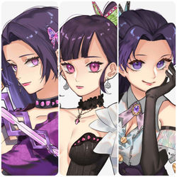 This is a pixiv picture whose title is 胡蝶姉妹.