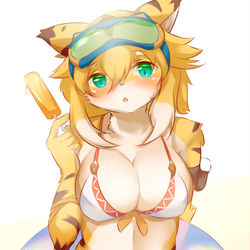 This is a pixiv picture whose title is 夏満喫！.