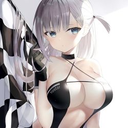 This is a pixiv picture whose title is 疾翔の姉羽.