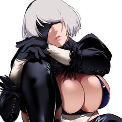 This is a pixiv picture whose title is 2B.
