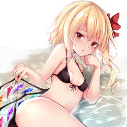 This is a pixiv picture whose title is フランの日.