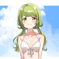 This is a pixiv picture whose title is ビキニかざちゃん.