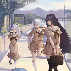 This is a pixiv picture whose title is 通学路.