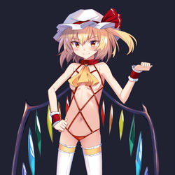 This is a pixiv picture whose title is 夢の東方タッグ編フランちゃん.