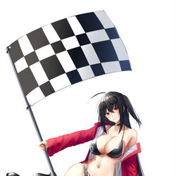 This is a pixiv picture whose title is 大鳳(レースクイーンのすがた).