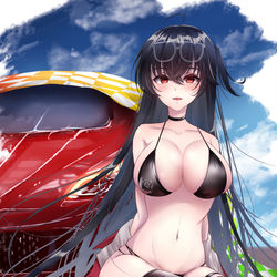 This is a pixiv picture whose title is 大鳳.
