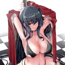 This is a pixiv picture whose title is （劣）情のコンパニオン.