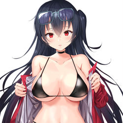 This is a pixiv picture whose title is RQ大鳳.