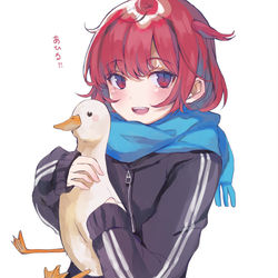 This is a pixiv picture whose title is あひる！.