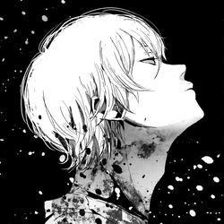 This is a pixiv picture whose title is 飾り.