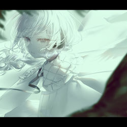 This is a pixiv picture whose title is Raven.