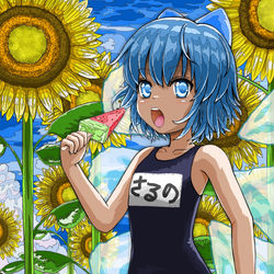 This is a pixiv picture whose title is チルノ.