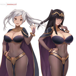 This is a pixiv picture whose title is F! Robin X Tharja.