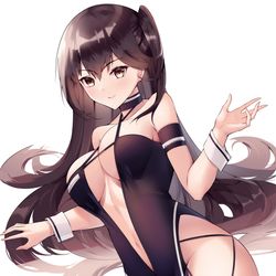 This is a pixiv picture whose title is 瑞鹤 ずいかく.