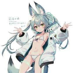 This is a pixiv picture whose title is commission.