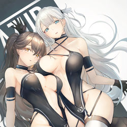 This is a pixiv picture whose title is 鶴.