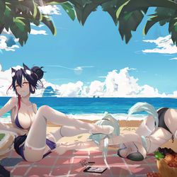 This is a pixiv picture whose title is 双狼组        扯.