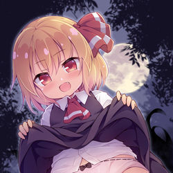 This is a pixiv picture whose title is ルーミアちゃん.