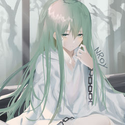 This is a pixiv picture whose title is 恩奇都.